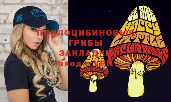 мескалин Арсеньев
