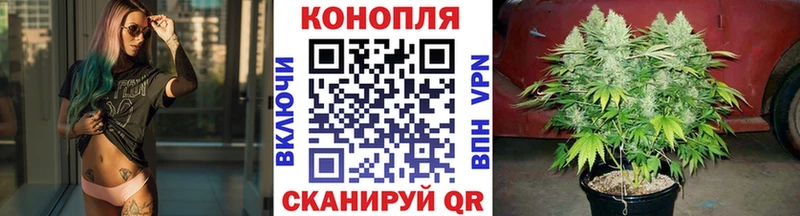 Бошки Шишки планчик  сколько стоит  Черняховск 